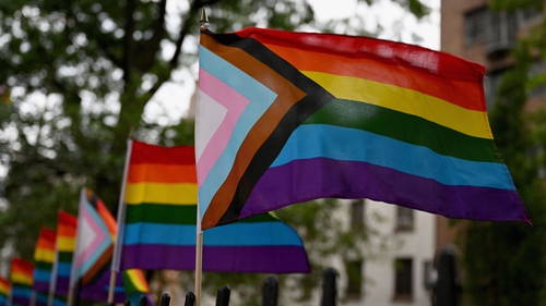 Dublin Pride said it expects a response on how RTÉ will make "amends for this situation"