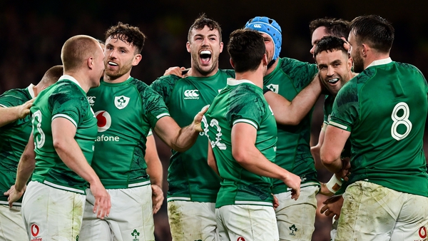 Ireland were 29-20 winners against New Zealand when the sides met in November
