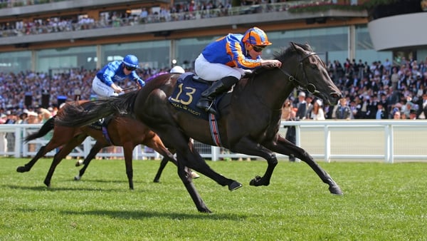 Meditate is now favourite for next season's 1000 Guineas