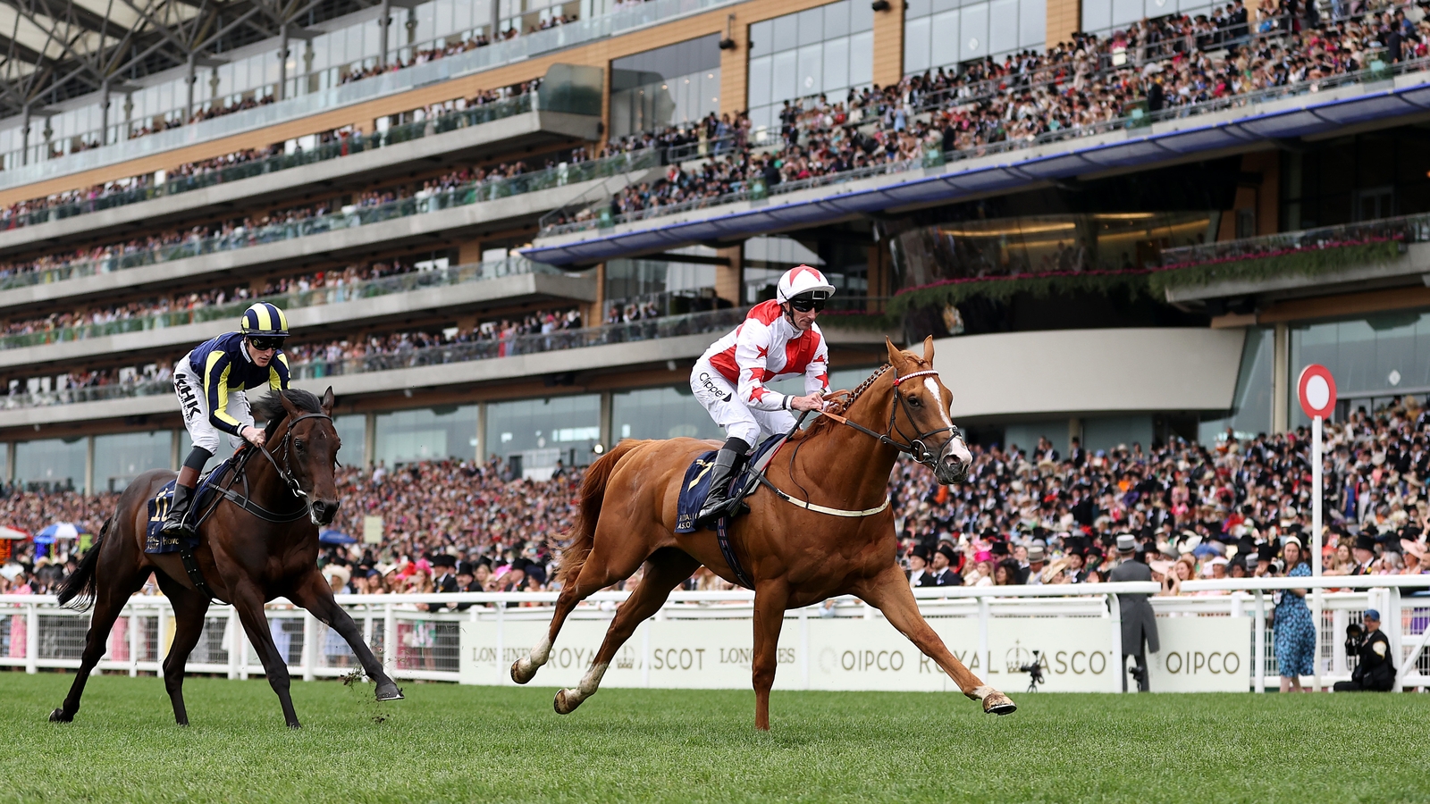 Royal Ascot round-up: Holloway Boy wins on debut