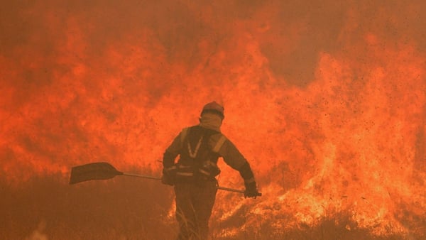 A firefighter battles flames at a wildfire in Pumarejo de Tera near Zamora