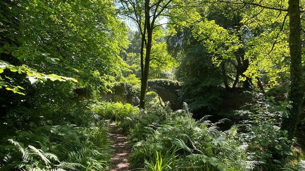 Mourne Park