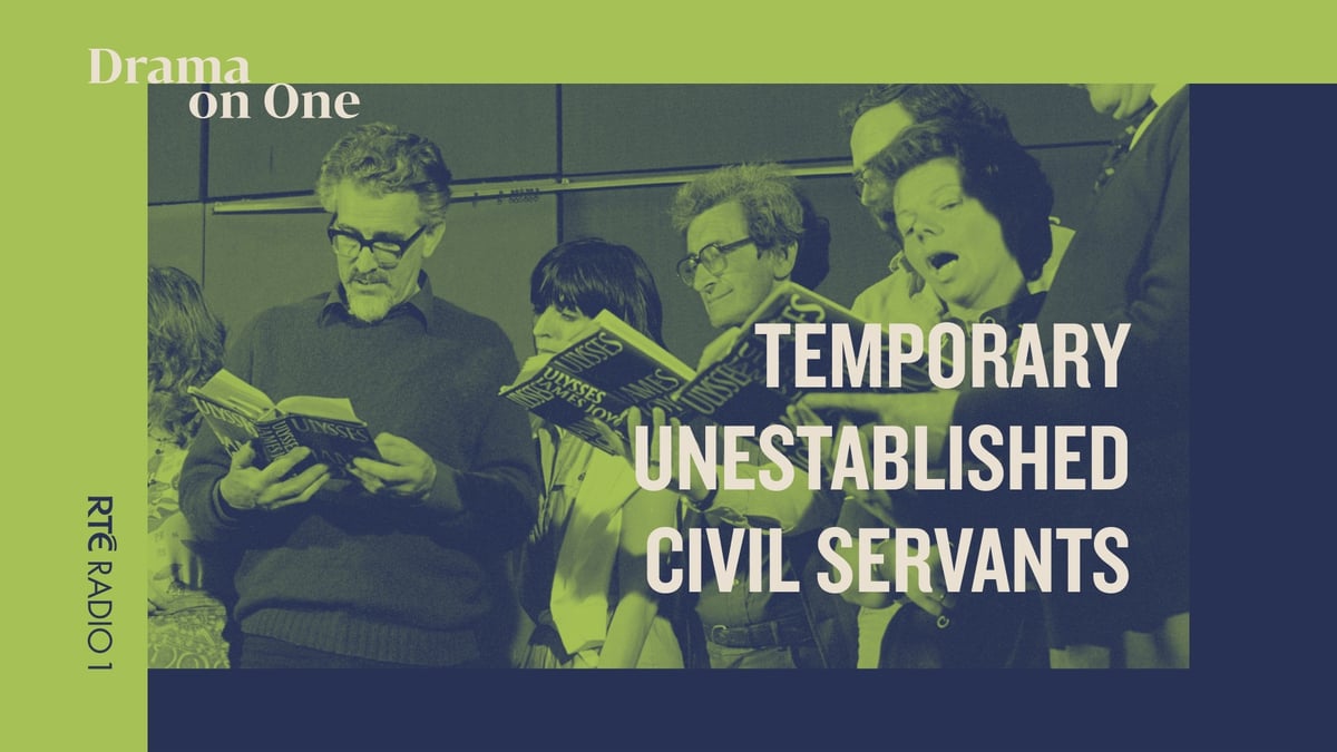 Temporary Unestablished Civil Servants