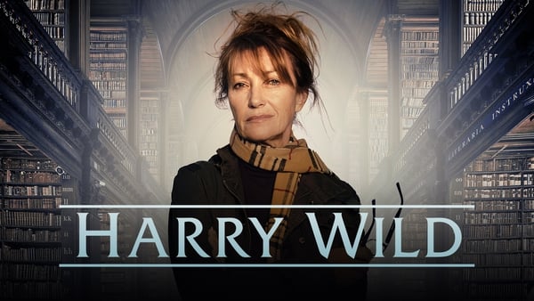 Harry Wild is available to watch on the RTÉ Player