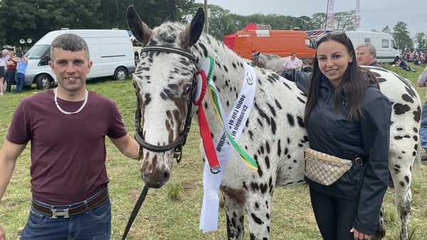 The Appaloosa horse Combo, owned by Paddy and Aisling Craine, was crowned Champion of the Fair