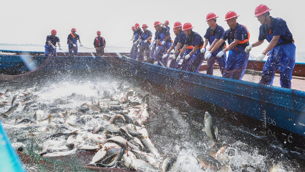China is the top fisheries producer, followed by Indonesia, Peru, Russia, the US and Vietnam