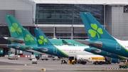 Aer Lingus said it had been notified by Zellis of the cyber attack (File image)
