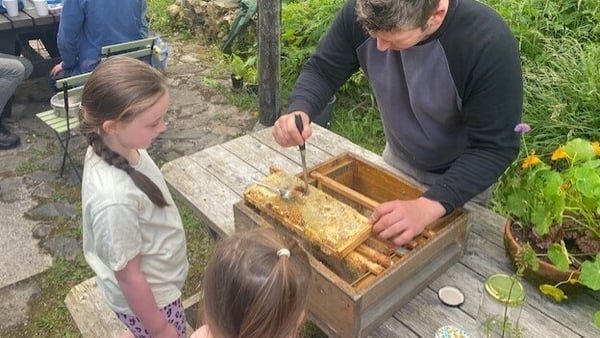 Lovely honey tasting at Irish Seed Savers Association