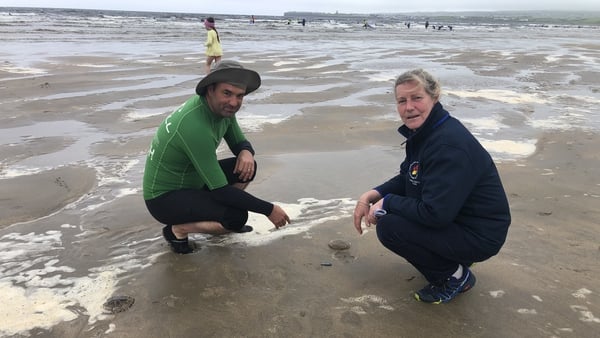 Ben Bennett of Ben's Surf Clinic and Co Clare Water Safety Development Officer Clare McGrath examining jellyfish at Lahinch beach