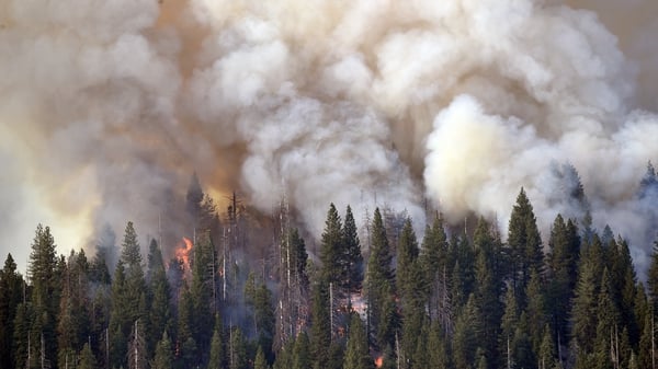 Smoke and flames rise as Yosemite National Park burns