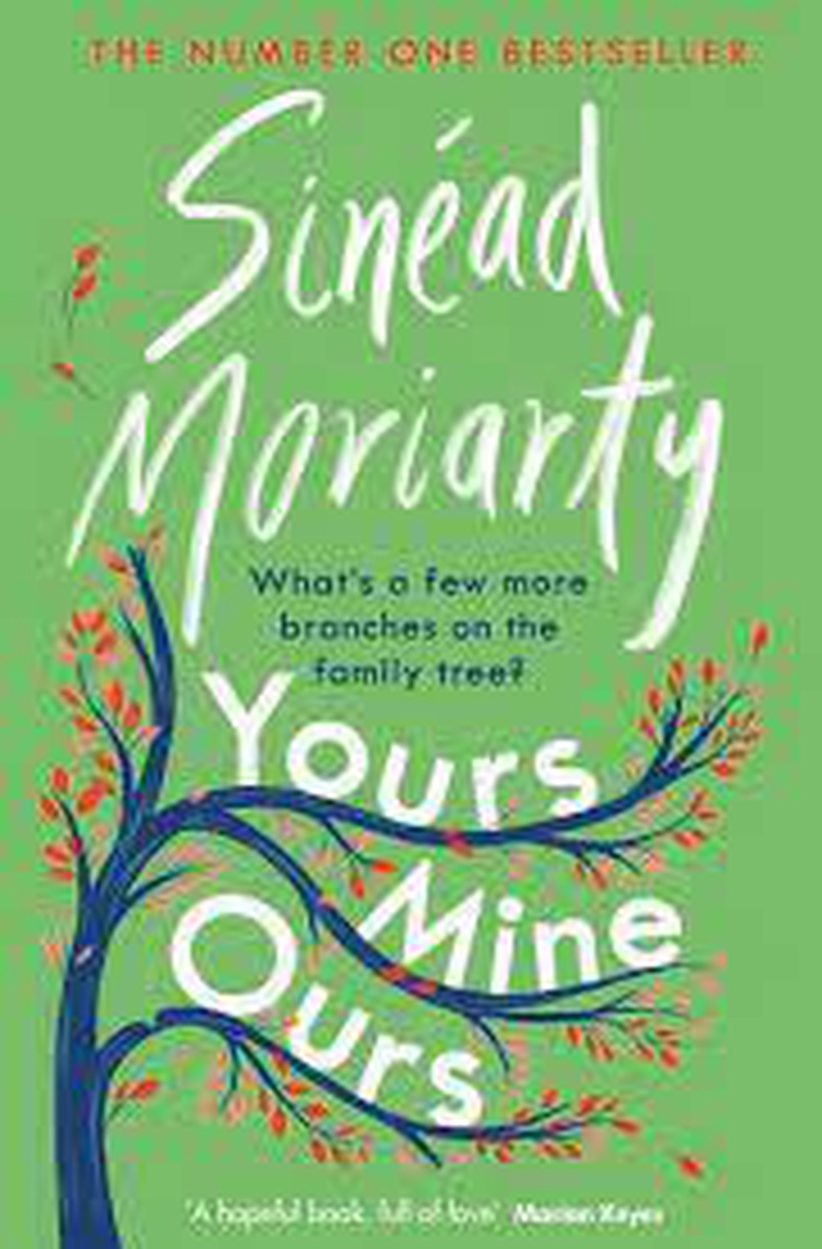 Book: Yours, Mine, Ours by Sinéad Moriarty