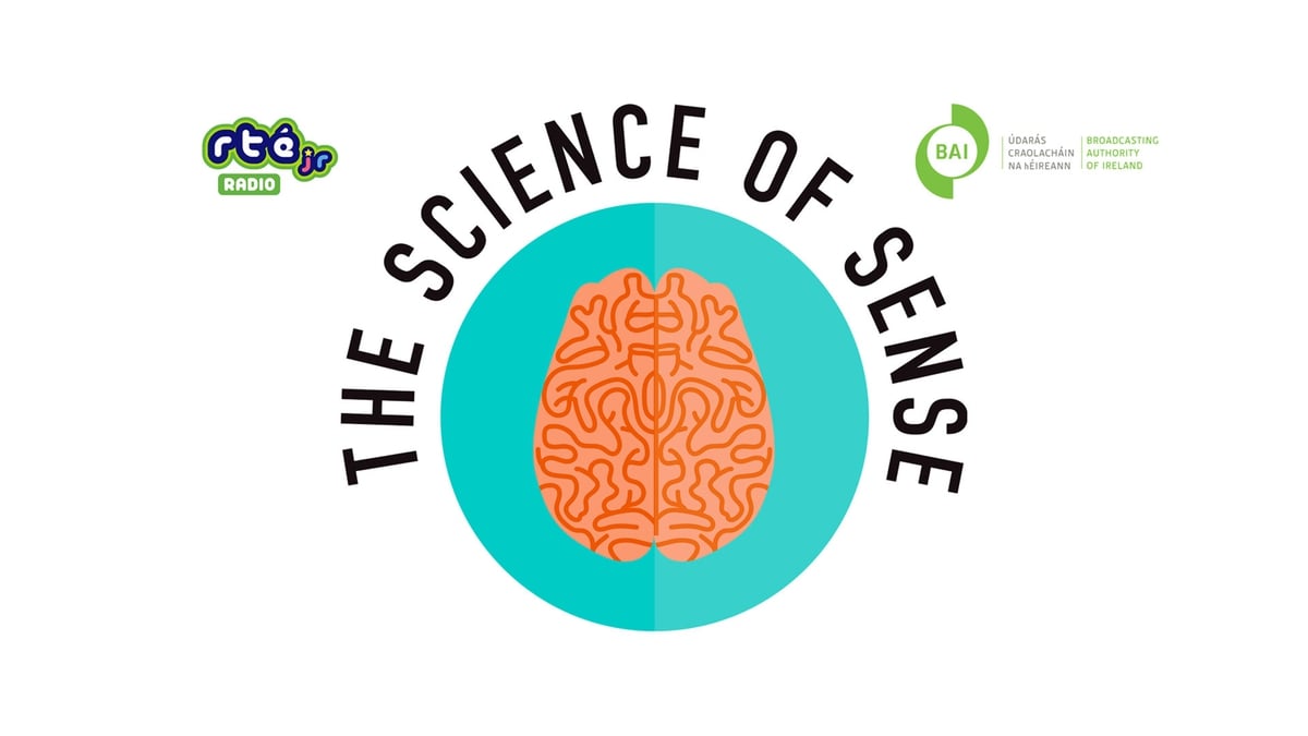 The Science of Sense