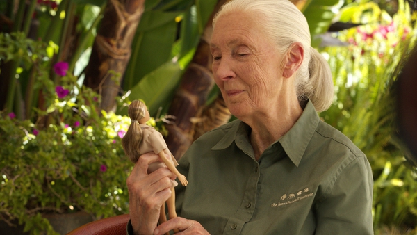 Renowned primatologist Dr Jane Goodall with her Jane Barbie