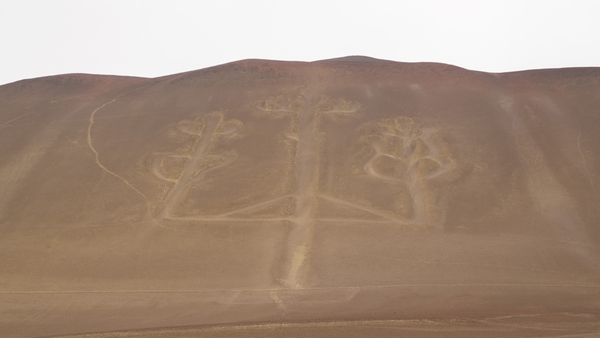 The geoglyph is about 170m tall, 60m wide, and carved into the slope of a hill in the Paracas peninsula, south of Lima