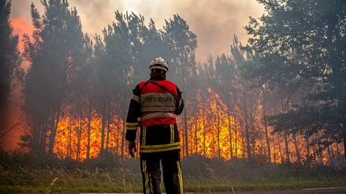 A firefighter works to contain a fire that broke out near Landiras, as wildfires continue to spread in the Gironde region of France