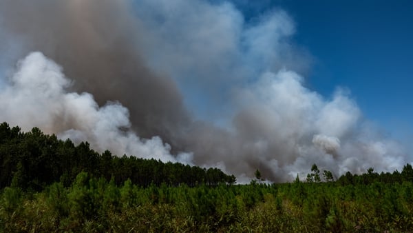 A forest fire burning in Landiras, France