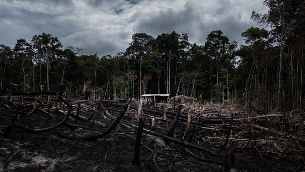 An area of deforestation is seen Careiro, Brazil