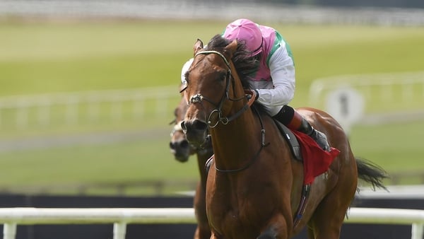 Westover and Colin Keane on way to Irish Derby delight