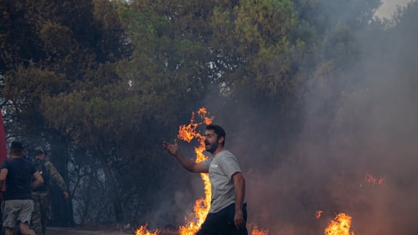 A wildfire at the forest of Megara, a small town near the Greek capital Athens
