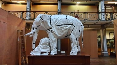 The Dead Zoo on RTÉ One - watch a preview