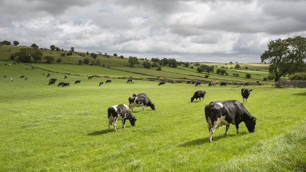 A number of farmers have recently been targeted by cattle thieves