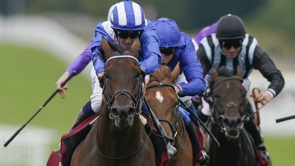 The brilliant Baaeed has followed a Frankel-esque programme during his four-year-old campaign