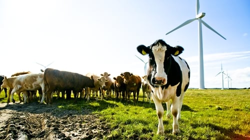 A 25% emissions reduction target for the agricultural sector is now official