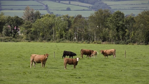 Farmers will be asked to reduce emissions by 25% which will take into account a number of measures