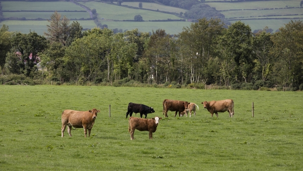 A tweet from the Environmental Protection Agency urged consumers to cut down their red meat intake