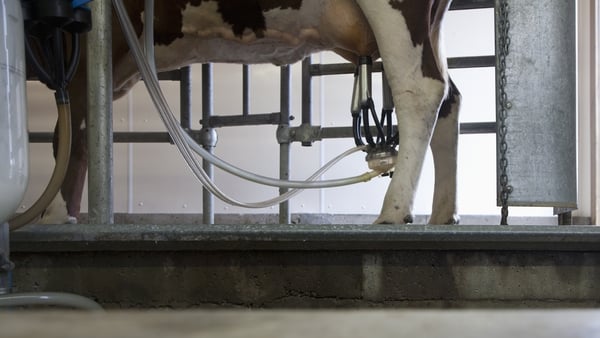 The cost of producing dairy - from energy to feed to fertiliser - has risen dramatically in the past two years