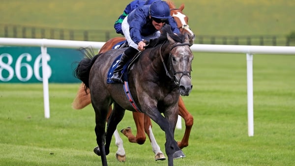 The Antarctic is a brother to former superstar sprinter Battaash