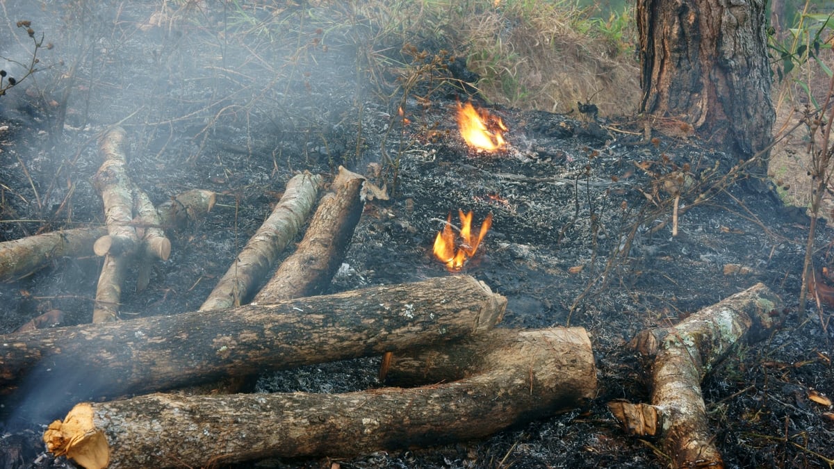 Wildfires | CountryWide - RTÉ Radio 1