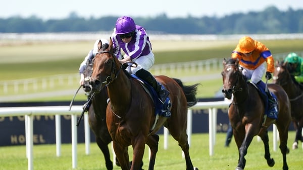 Little Big Bear is the mount of Ryan Moore in the juvenile Group One contest at the Curragh