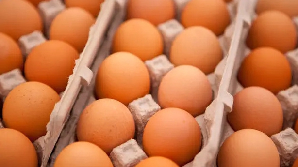 Eggs are a great source of B12 and vitamin D (Alamy/PA)