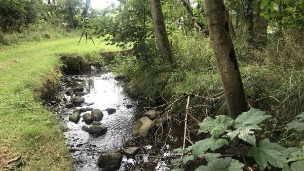 Officers from the Shannon River basin district became aware of the kill last Friday