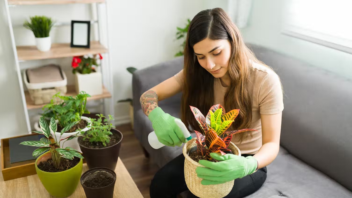 The Benefits of Talking to Plants | Drivetime - RTÉ Radio 1