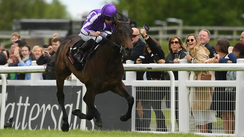 Blackbeard looks a natural for the Middle Park Stakes at Newmarket next month