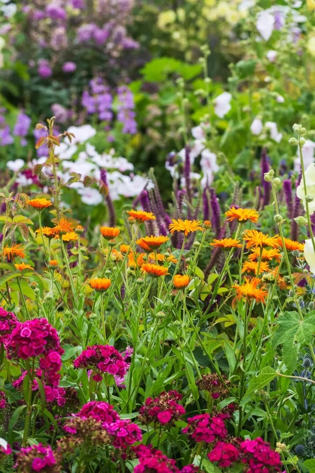 Ways to be less wasteful in the garden