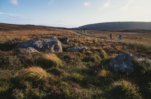Moorland of the Ox Mountains in Co SLigo