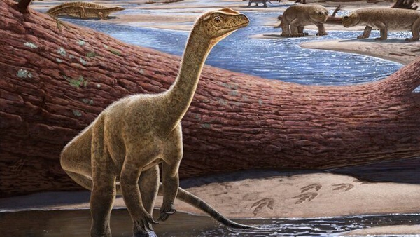 Artistic reconstruction of Mbiresaurus raathi dinosaur (credit: Andrey Atuchin/Virginia Tech)