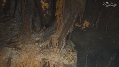 The portside anchor of Titanic as seen in new high resolution footage released. Courtesy: OceanGate Expeditions