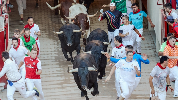 The best known bull running festival is San Fermin in the northern Spanish city of Pamplona