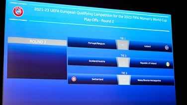 Pauw reacts to Ireland's 'very tough' play-off draw