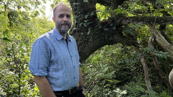 Eoghan Daltun has spent 13 years restoring a rainforest in west Cork