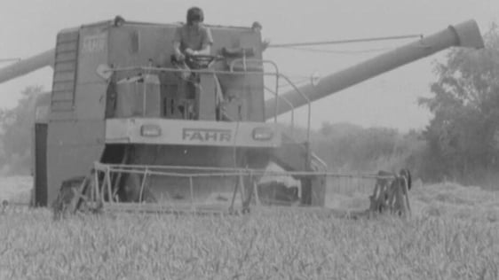 Farmer harvesting crop (1972)