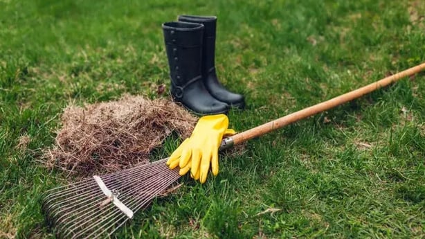 Getting ready to rake the lawn (Alamy/PA)