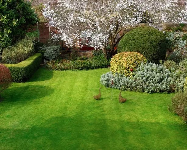 A healthy looking lawn in springtime (Alamy/PA)
