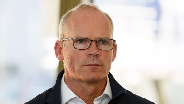 Simon Coveney will take part in a special meeting of the UN Security Council in New York tomorrow (file pic)