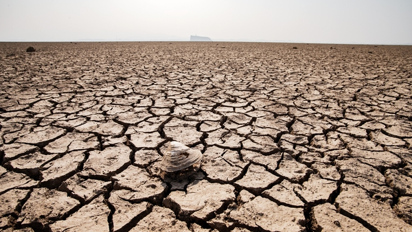 The UN's World Meteorological Organisation said it now estimated there was a 60% chance that El Niño, which can bring high temperatures and drought, would develop by the end of July (file image)