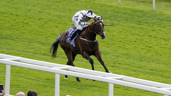 A £38,000 breeze-up purchase, Marshman was bought for just 5,000 guineas as a yearling